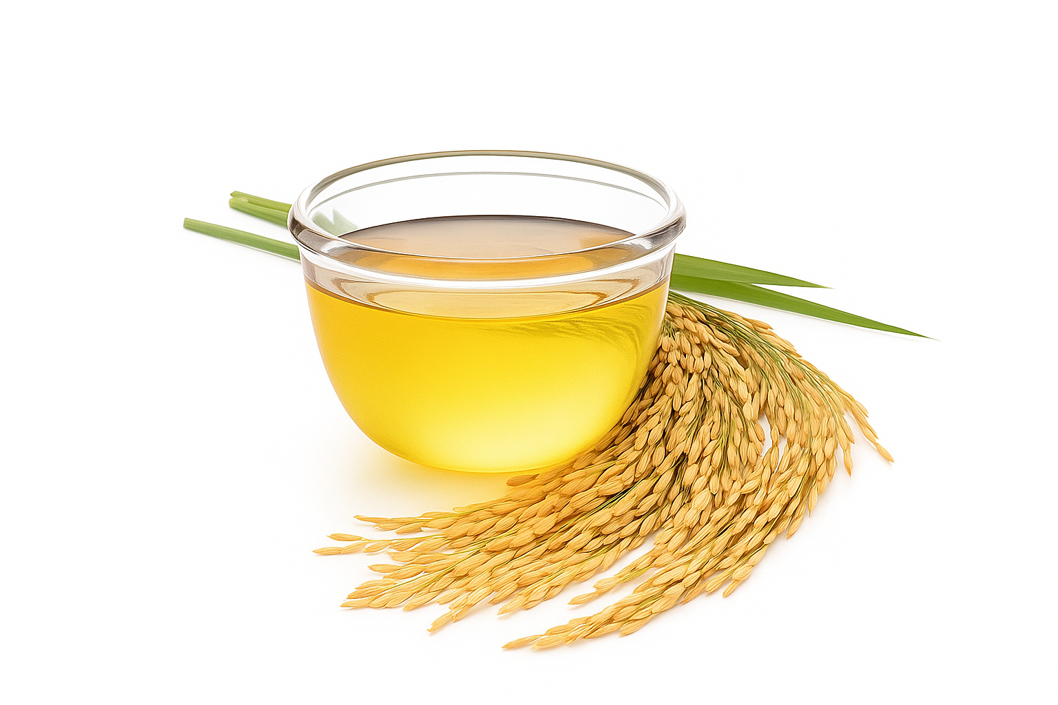 Rice Bran Oil